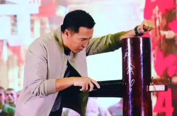 Donnie Yen practicing wooden dummy