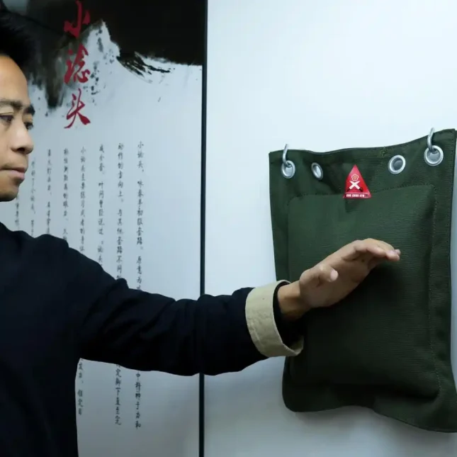 Wing Chun sandbag in action during martial arts training.