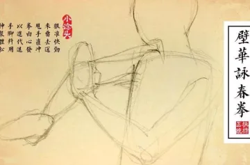 Wing Chun Martial Arts Techniques Diagram