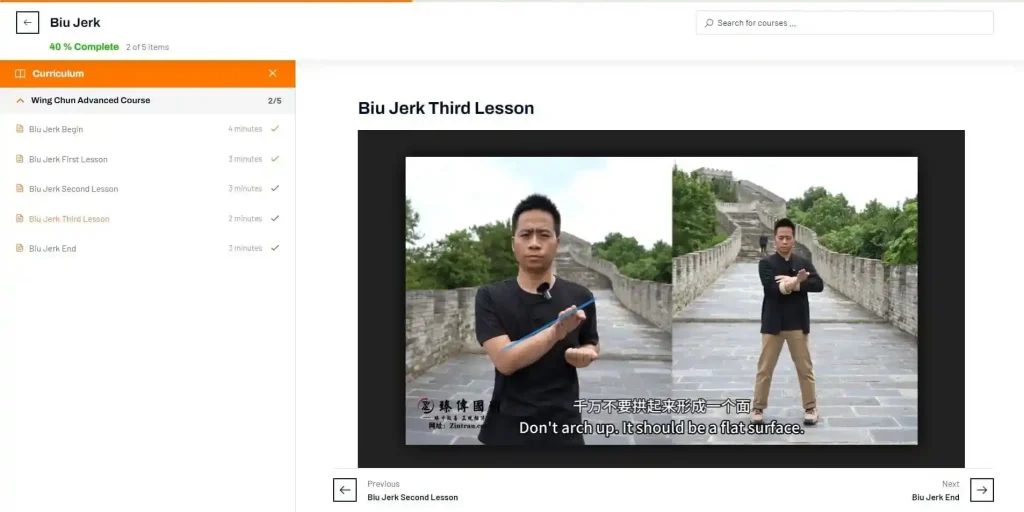 Screenshot of the Wing Chun online course page for Biu Jerk, showcasing advanced striking techniques and applications for self-defense.