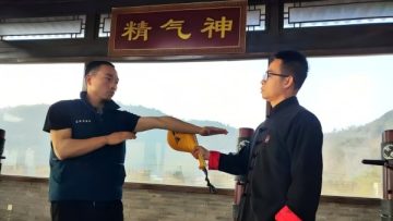 In the training camp, Master Liu is guiding the students in learning the advanced techniques of Wing Chun.
